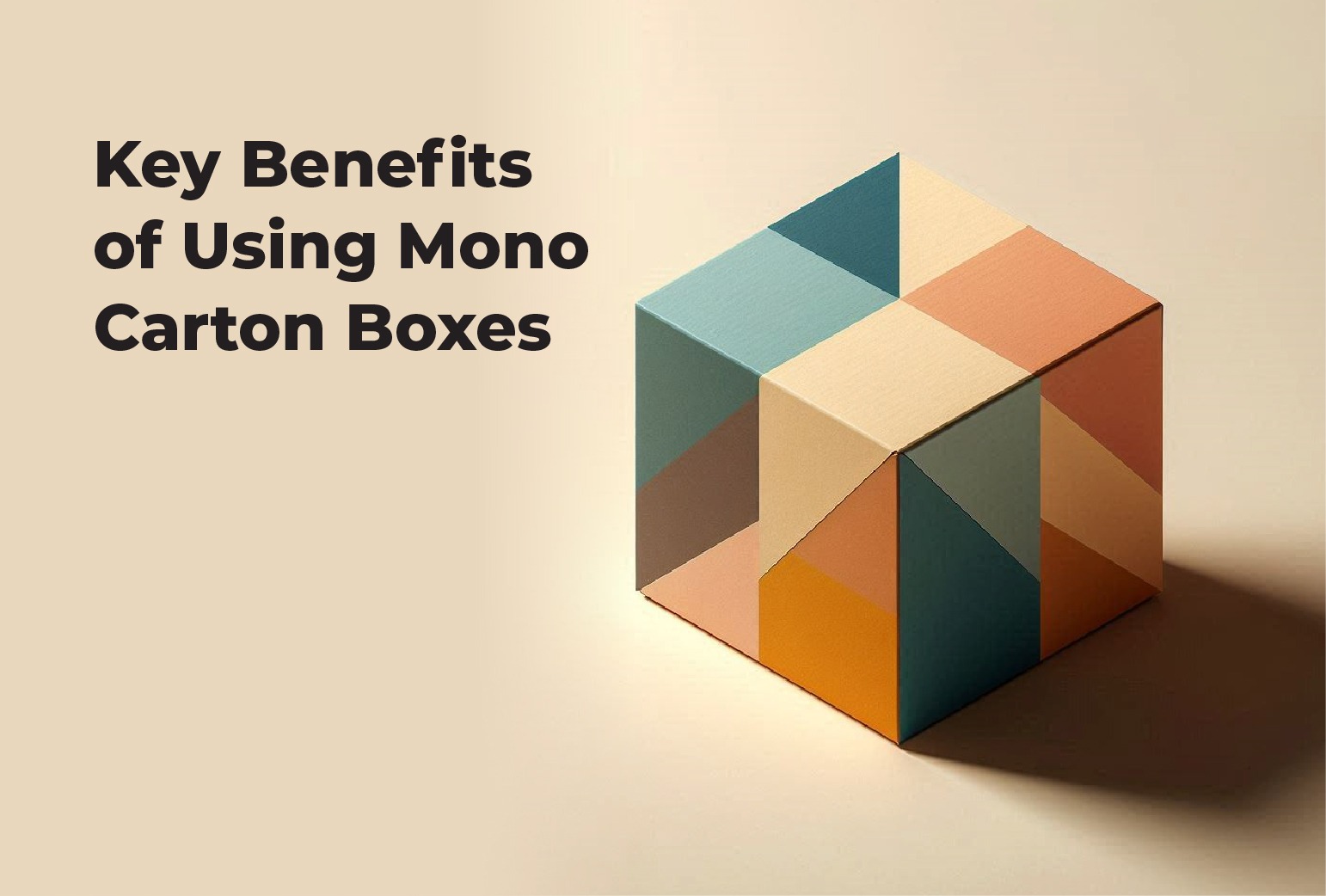 Mono Carton Box Manufacturer in Lagos